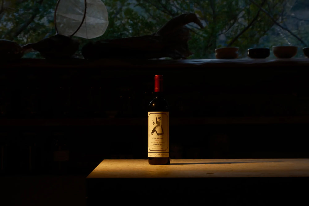 光スペシャル 2012